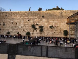 Izrael_uchenici_stenata_na_placha